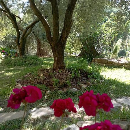 Villa Relax Skála Kallirákhis 외부 사진